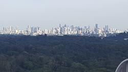 Eco Sanctuary (D23), Condominium #154577252